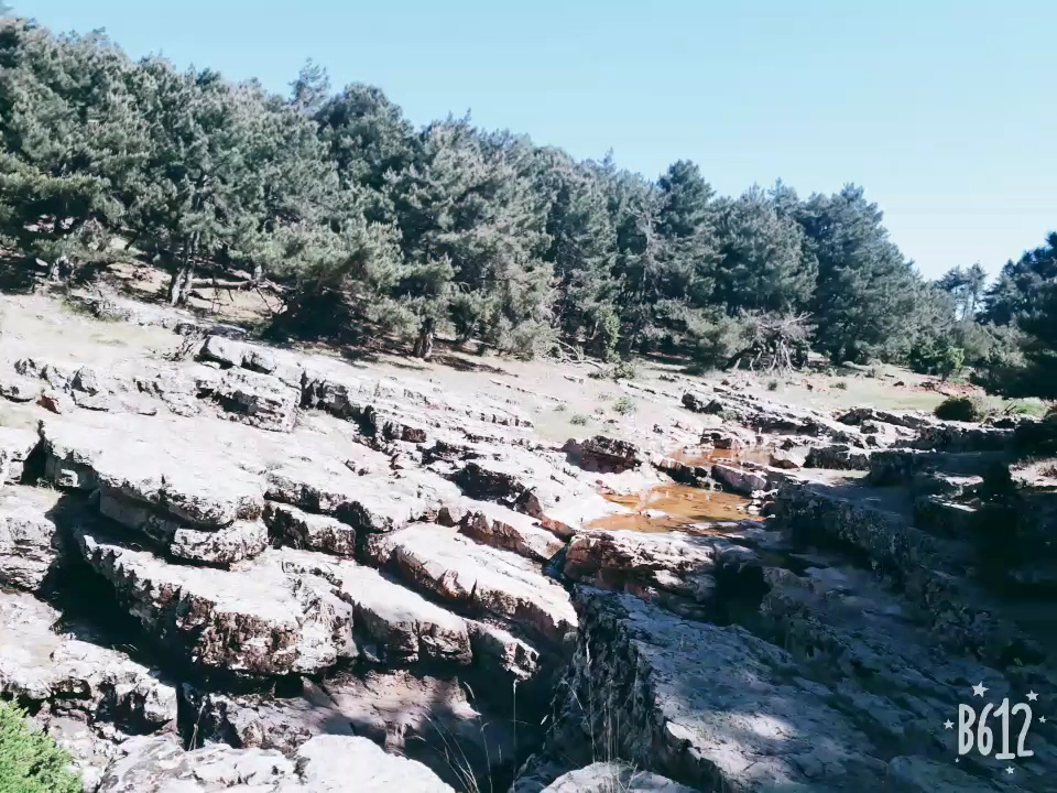 Alan Yaylası — fotoğraf 3