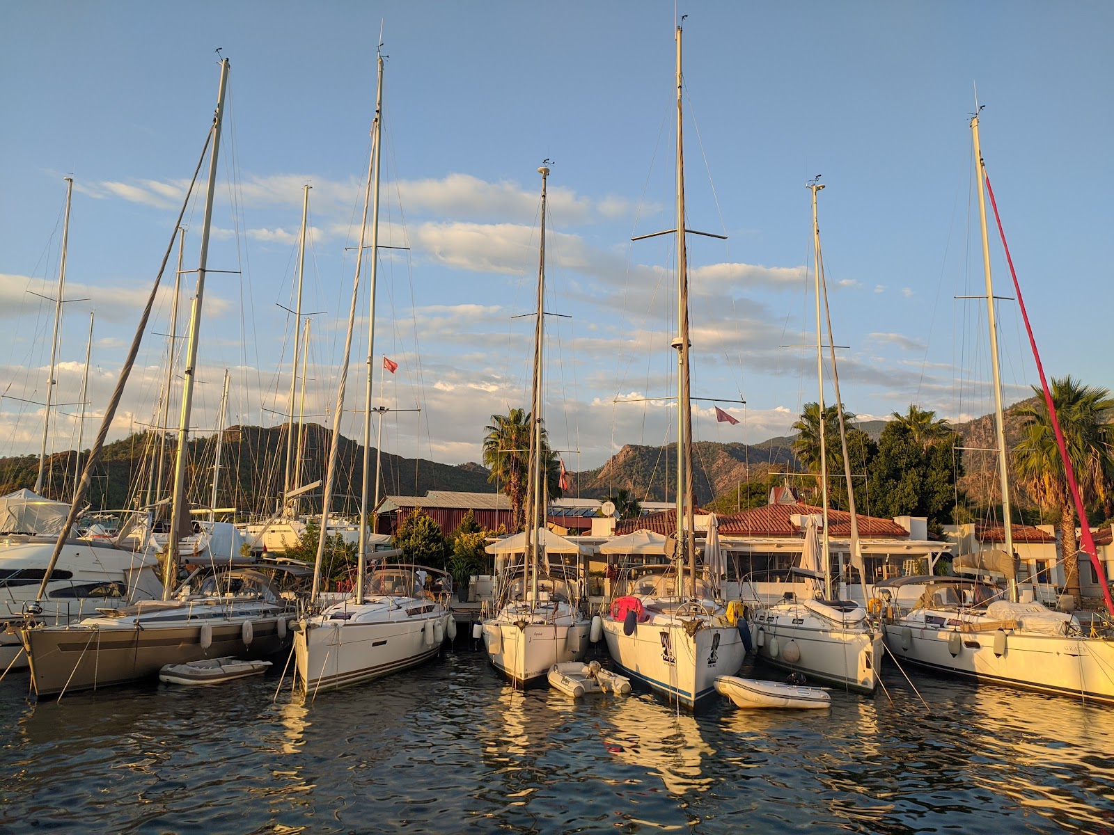 Albatros Marina — photo