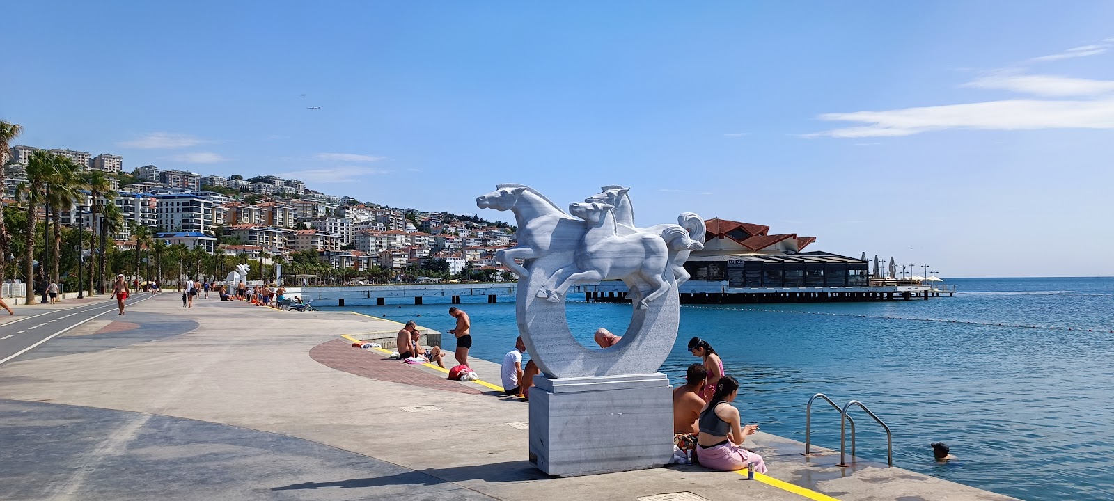 Albatros — photo