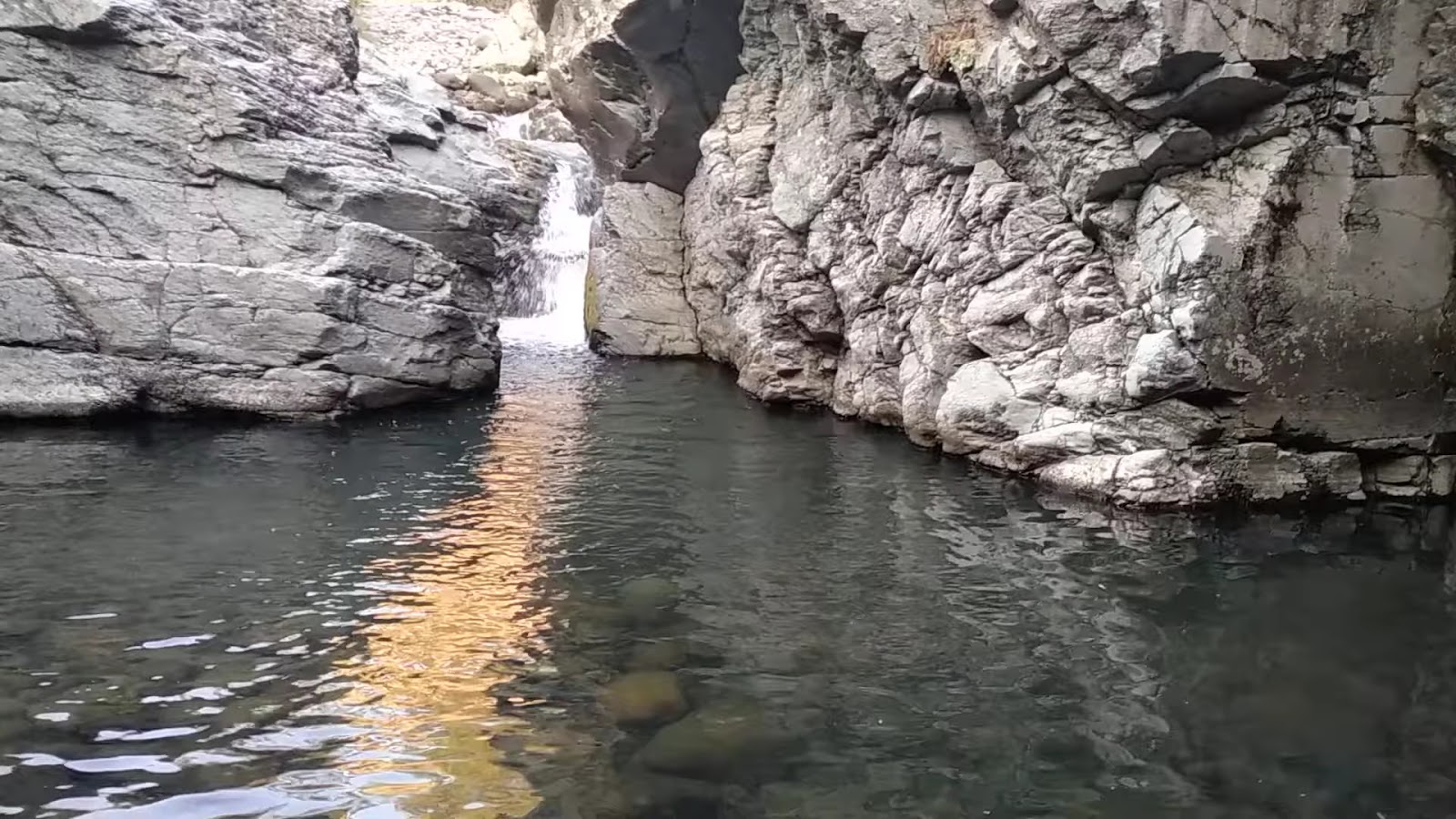 Alemdar — photo 2