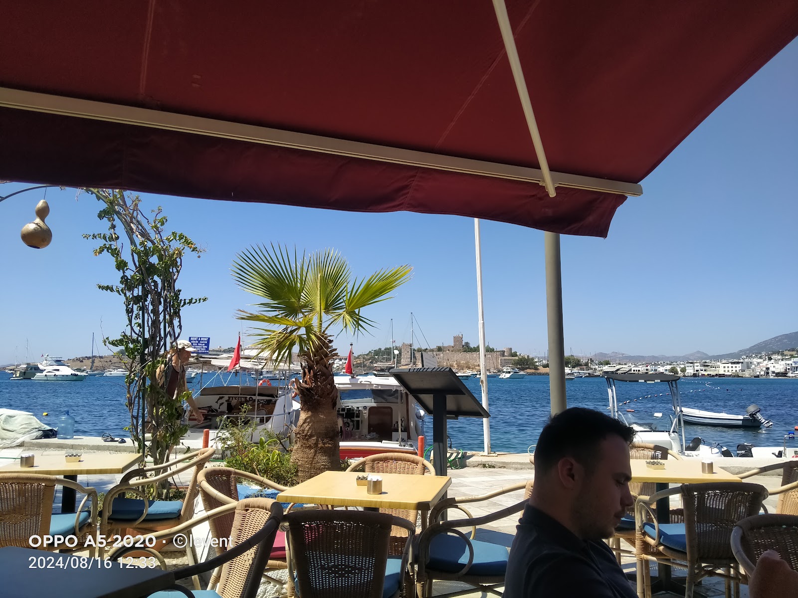Ali Cengiz Cafe — photo 7
