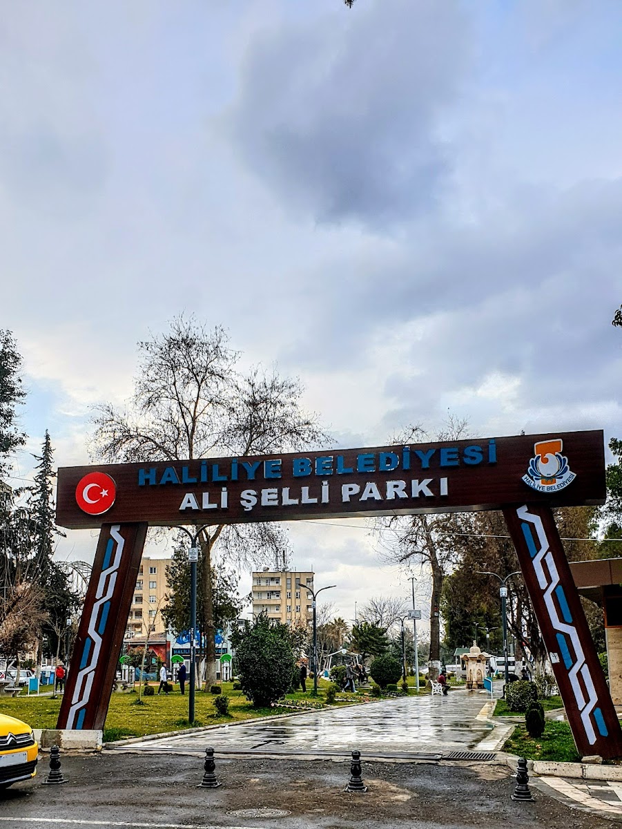 ALİ ŞELLİ PARKI — fotoğraf
