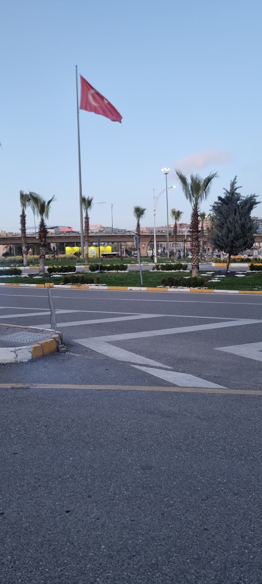 ALİ ŞELLİ PARKI — fotoğraf 2