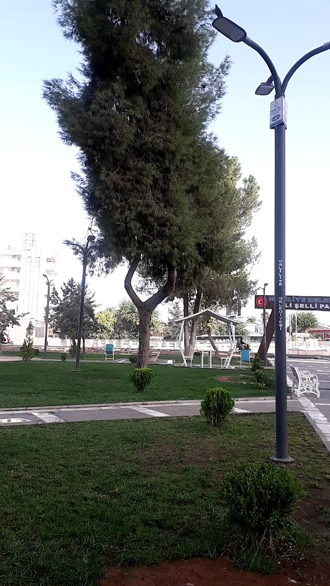 ALİ ŞELLİ PARKI — fotoğraf 3