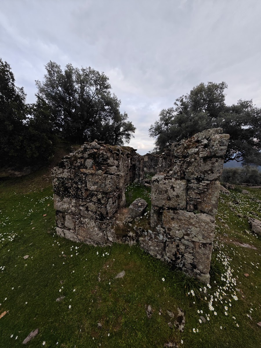 Alinda Ören Yeri — fotoğraf 2