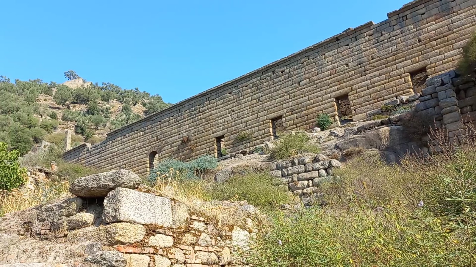 Alinda — fotoğraf 2