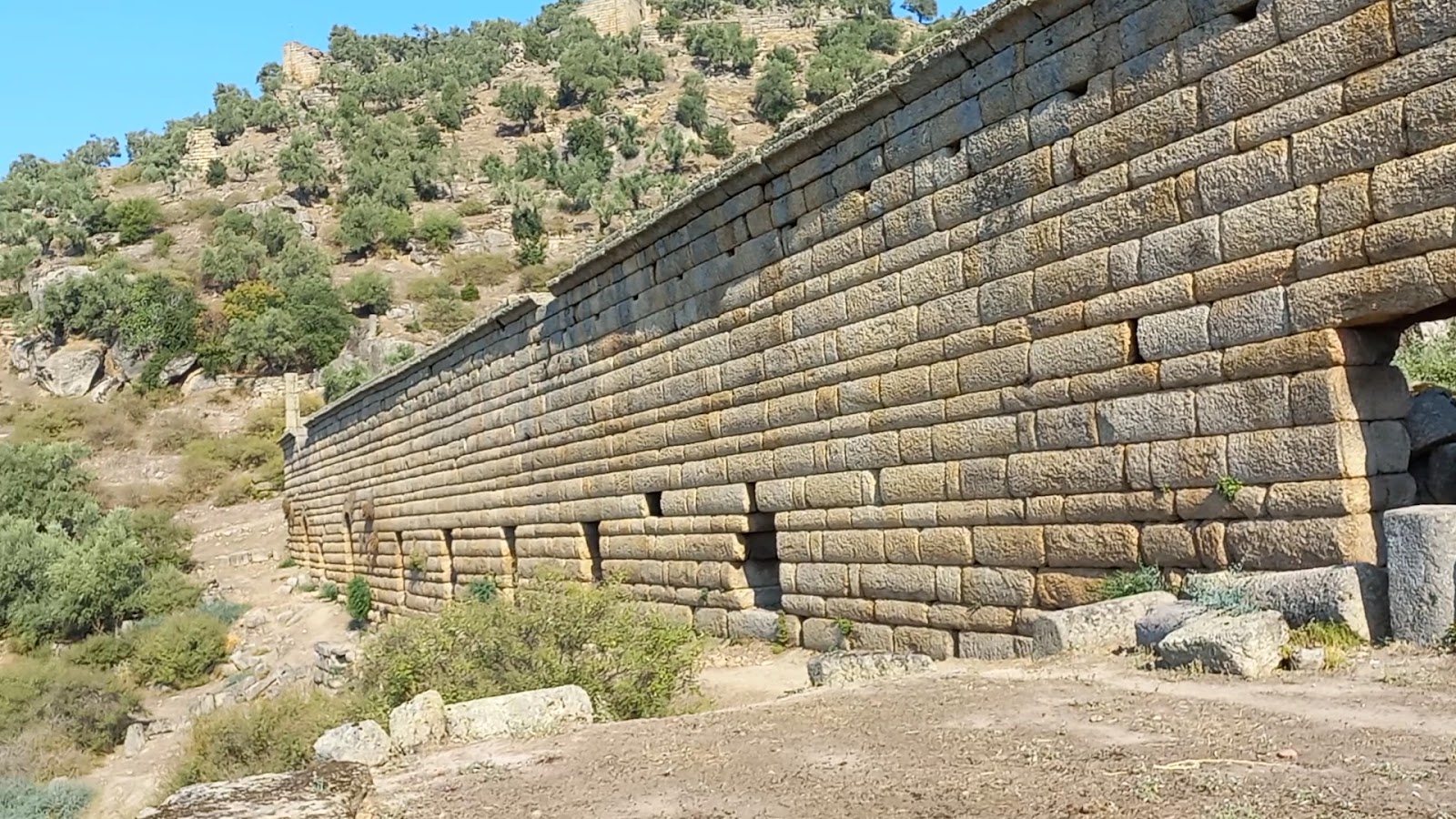 Alinda — fotoğraf 3