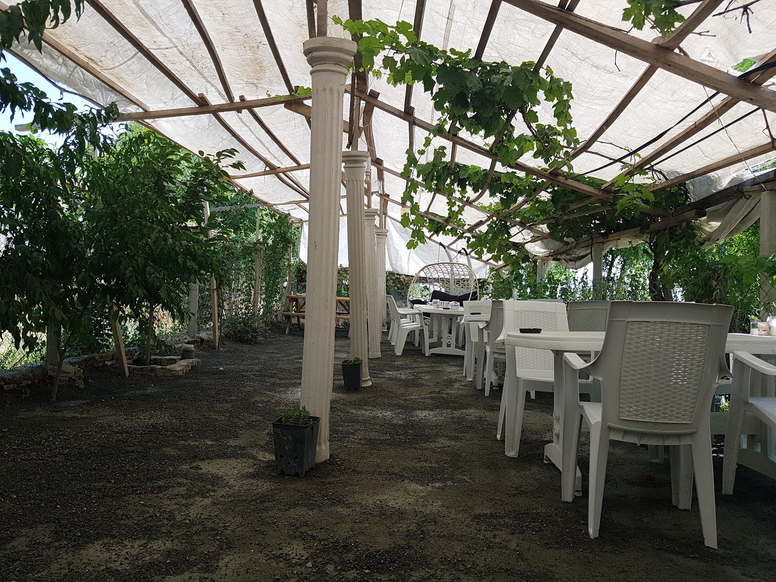 Ali'nin Yeri Aile Çay Bahçesi ve Restaurant — photo 2