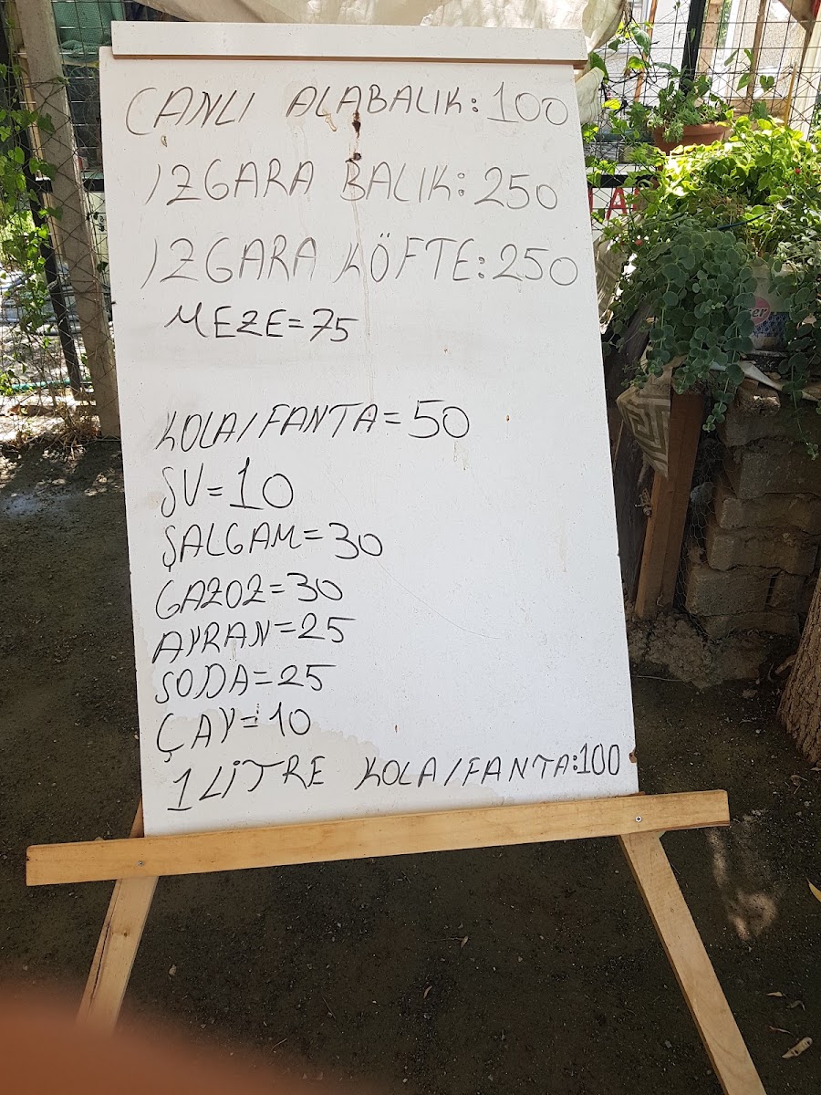 Ali'nin Yeri Aile Çay Bahçesi ve Restaurant — photo 4