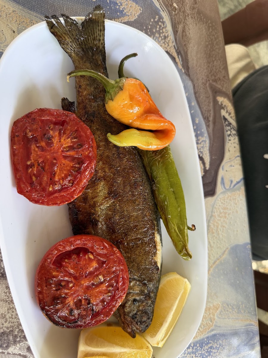 Ali'nin Yeri Aile Çay Bahçesi ve Restaurant — photo 5