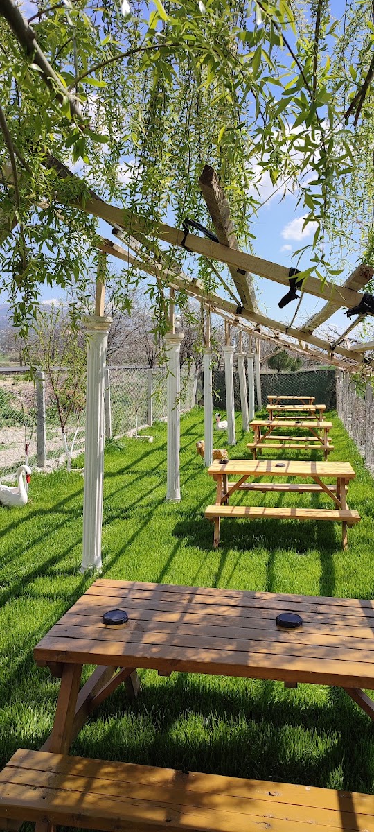 Ali'nin Yeri Aile Çay Bahçesi ve Restaurant — photo 9