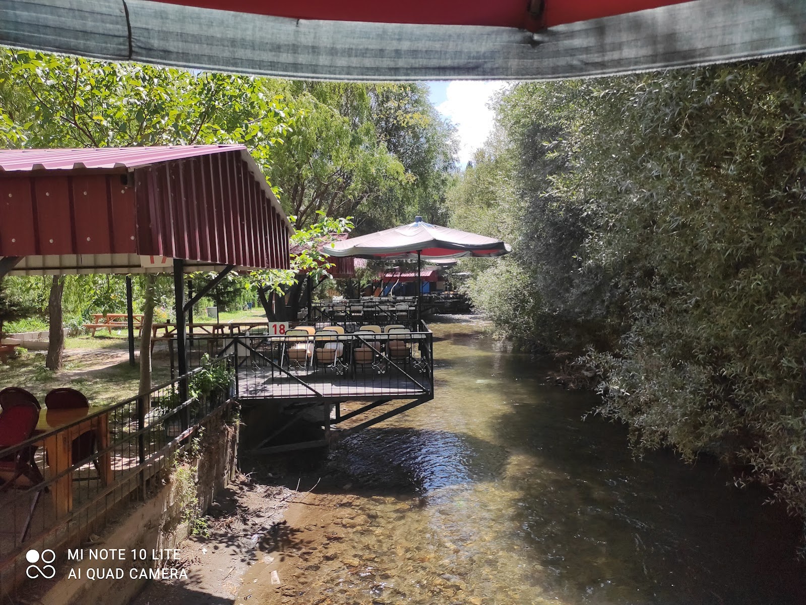 Alinin Yeri Et Ve Canlı Alabalık — fotoğraf