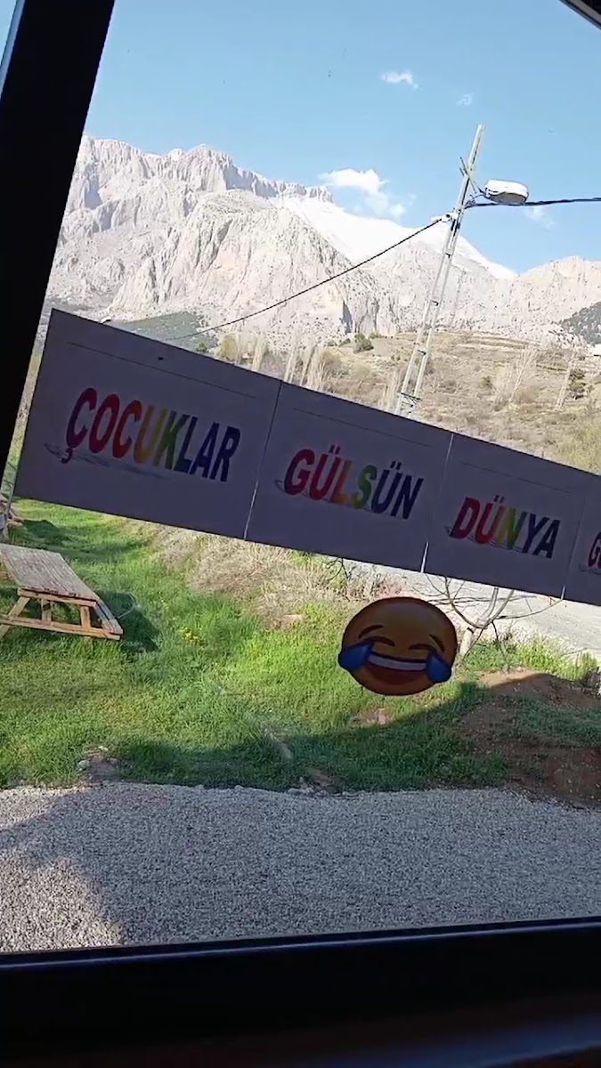 Alinin Yeri Et Ve Canlı Alabalık — fotoğraf 5
