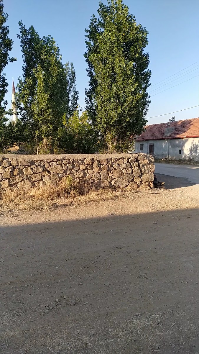 Alişar — photo 2