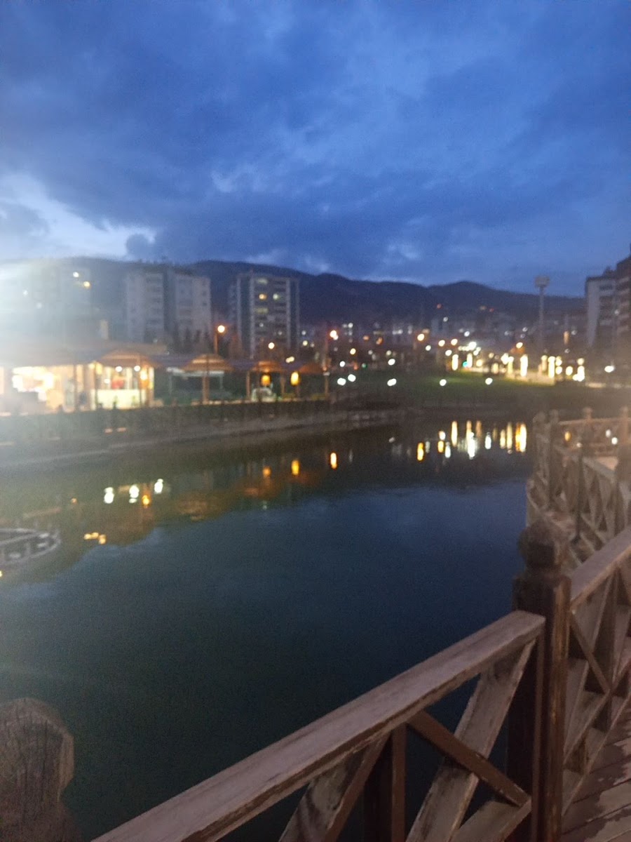 Aliya İzzetbegoviç Parkı — fotoğraf 2