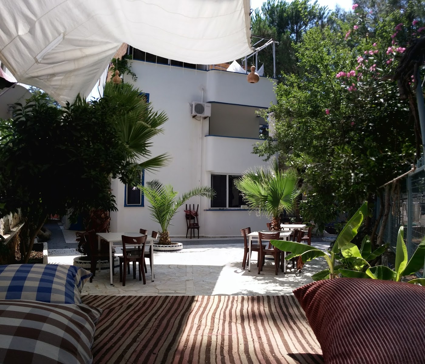 Alkali House — photo