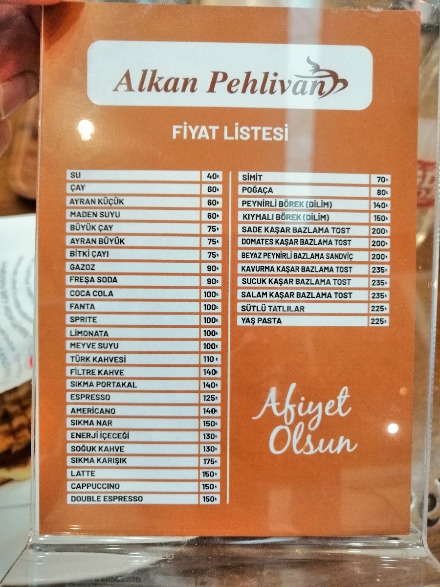 Alkan Pehlivan — fotoğraf 4
