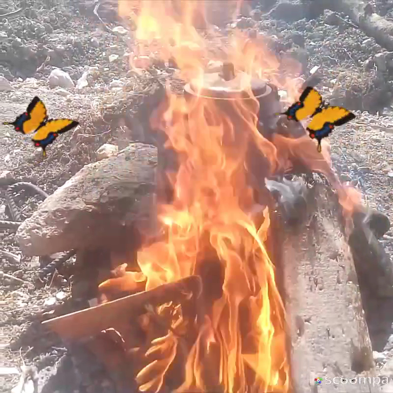 Alparslan Türkeş Parkı — fotoğraf 3