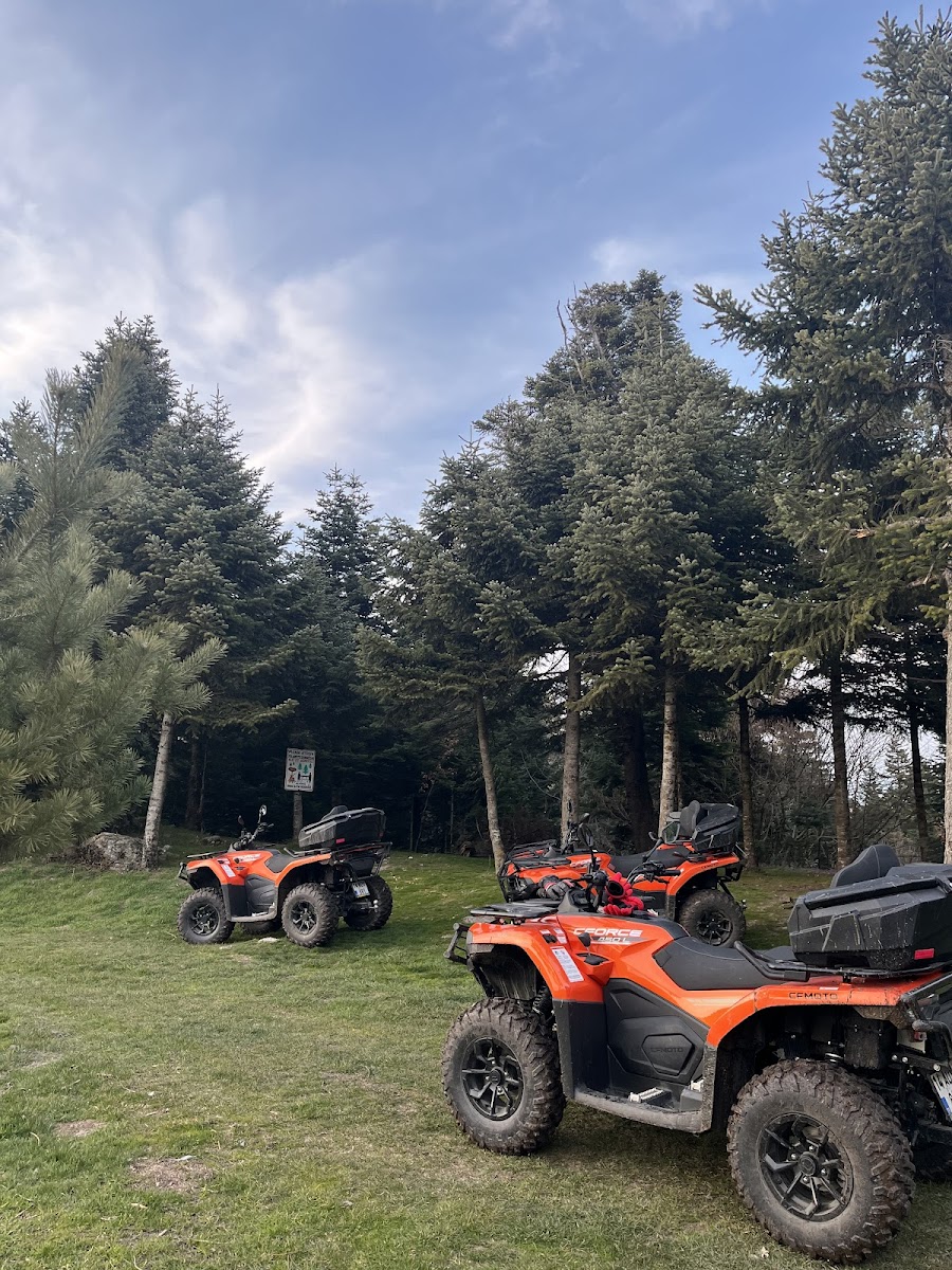 Alpbey At Çiftliği — fotoğraf 2