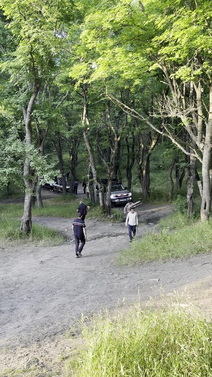 Altıağac Millî Parkı — photo 3