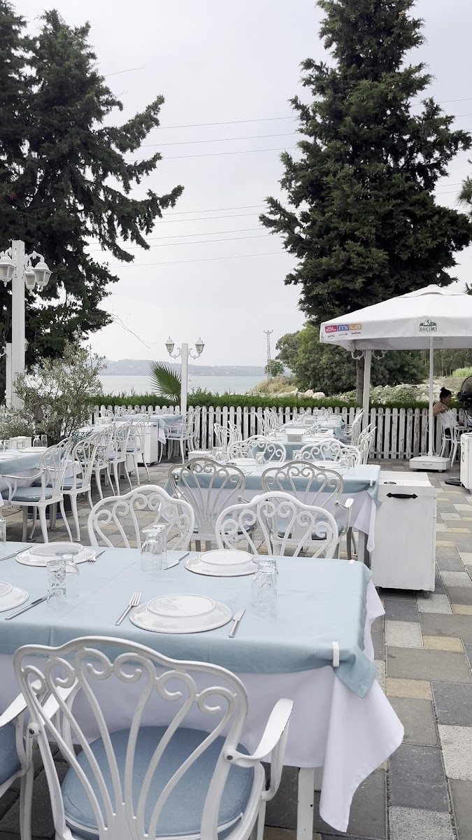 Altın Balık — photo 3