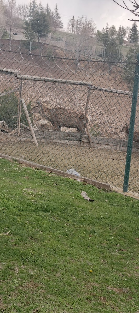 Altınköy Açık Hava Müzesi - Altındağ — fotoğraf 2