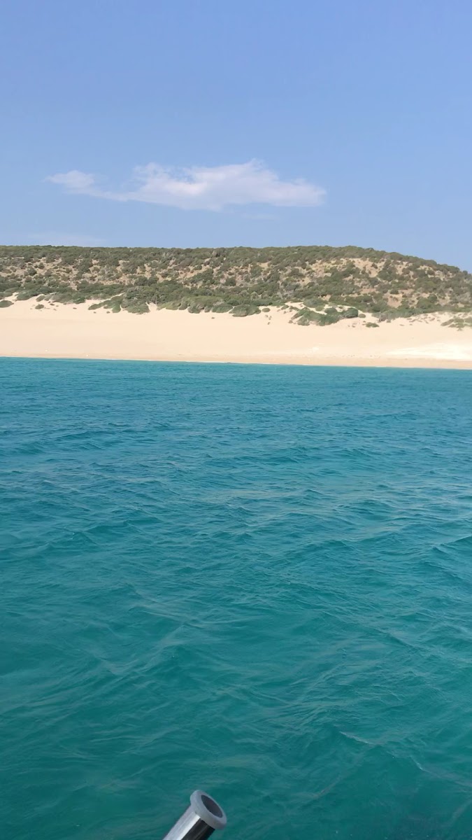 Altınkum Plajı — fotoğraf 3
