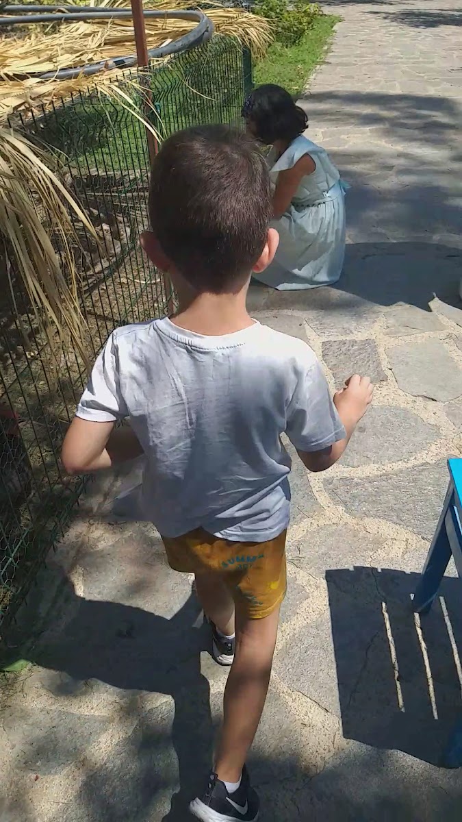 Altınoluk Merkez Parkı — fotoğraf 3