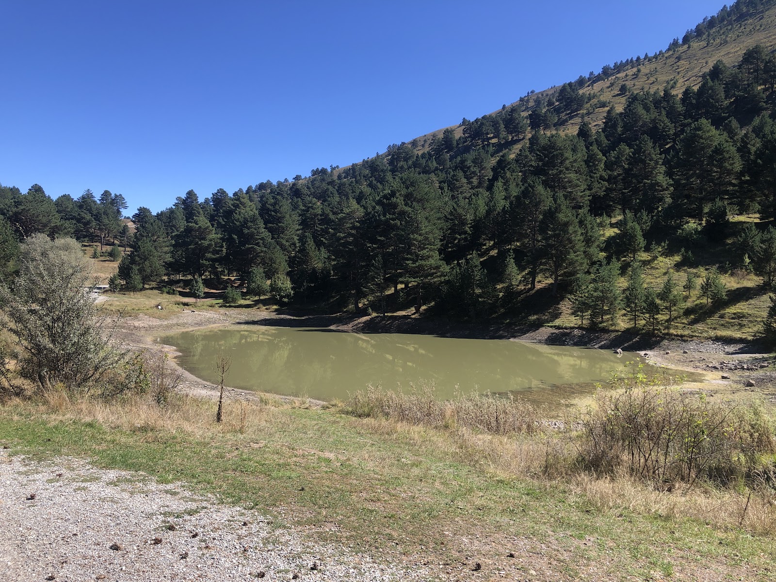 Altınpınar Limni Gölü — fotoğraf 1