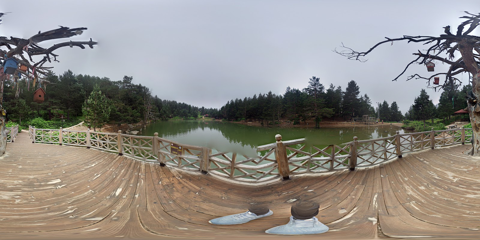 Altınpınar Limni Gölü — fotoğraf 4