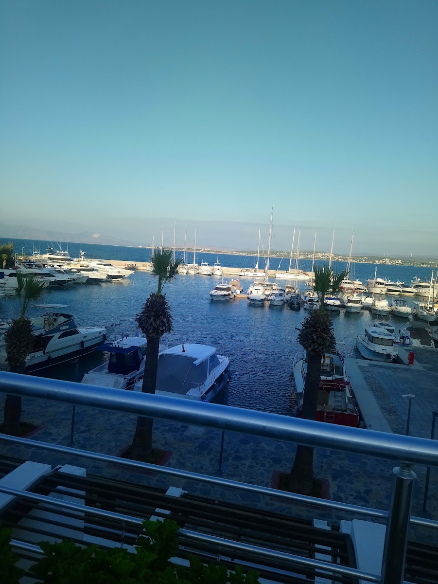 Altınyunus — photo