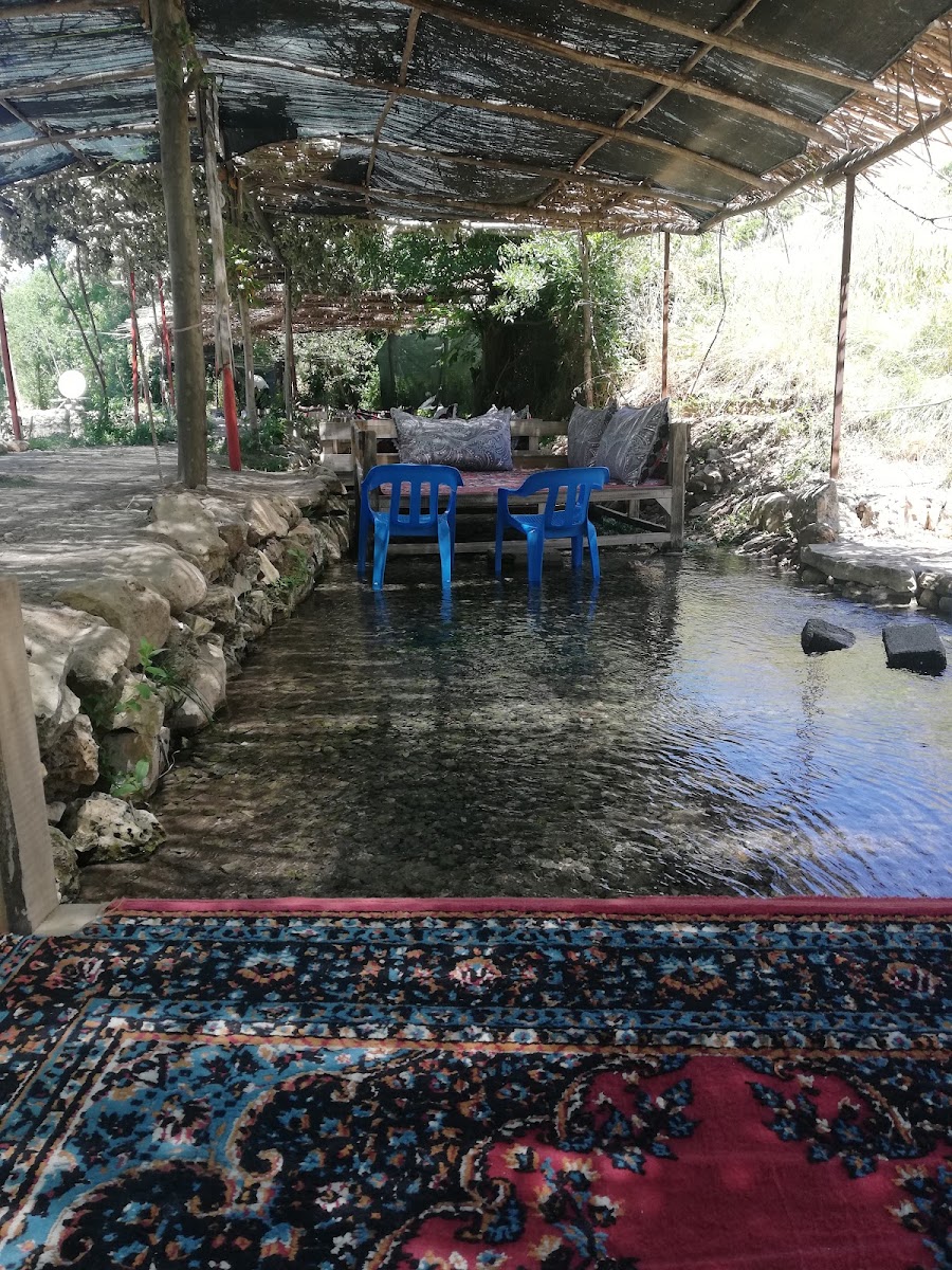 ALTUN ALABALIK — photo