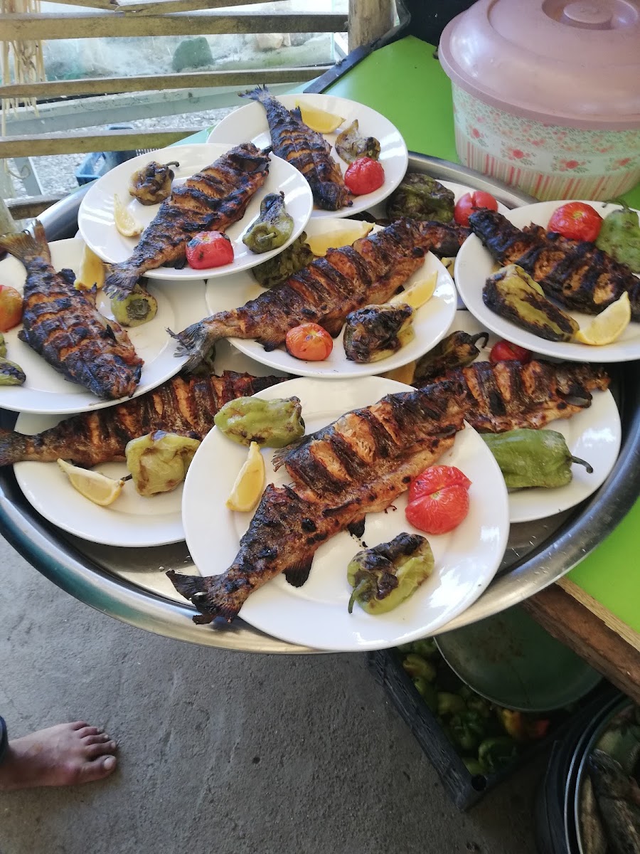 ALTUN ALABALIK — photo 3