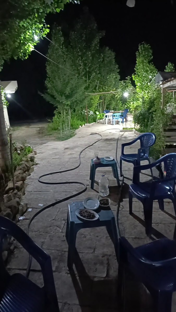 ALTUN ALABALIK — photo 6