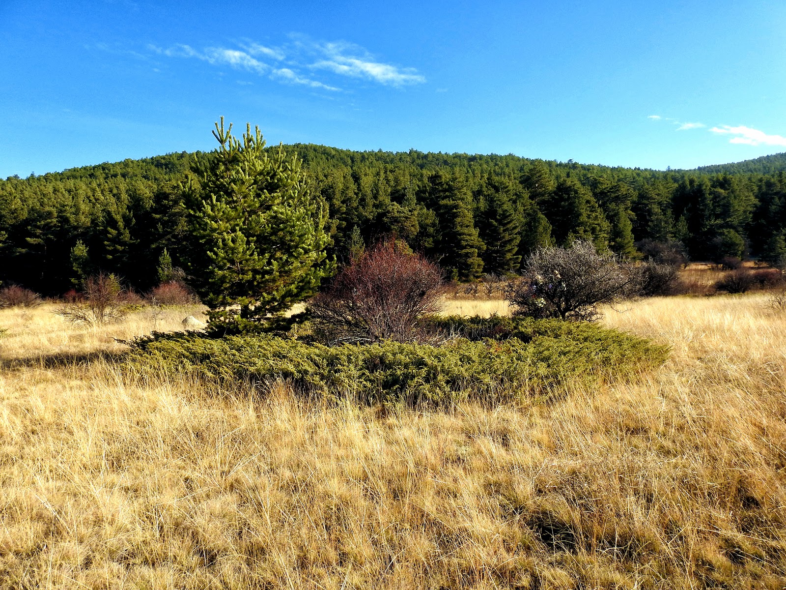 Aluçdağı Tabiat Parkı — photo 2