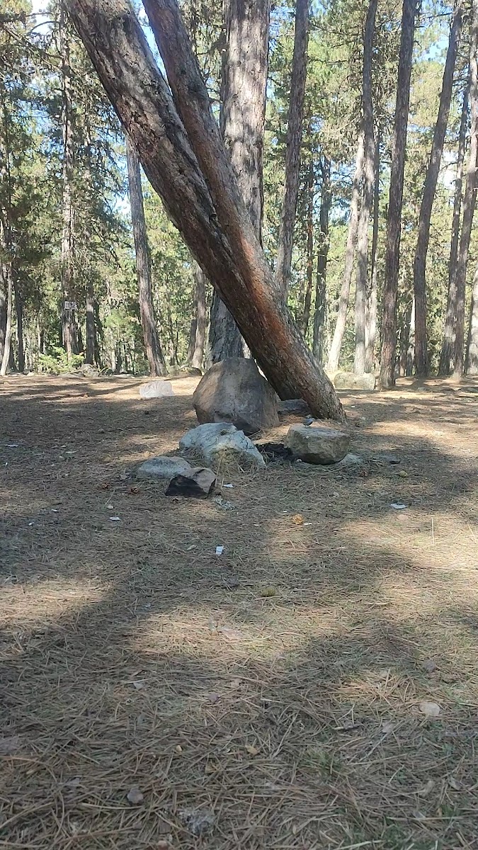 Aluçdağı Tabiat Parkı — photo 3
