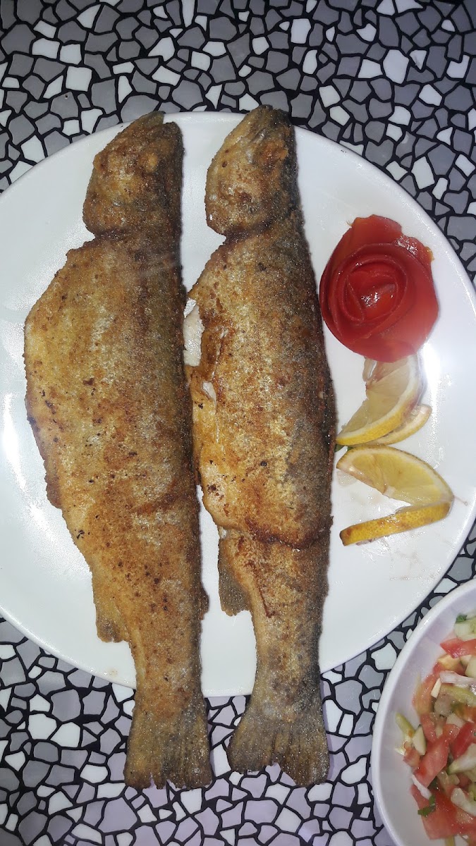 Alucra Alabalık Tesisleri — photo 4