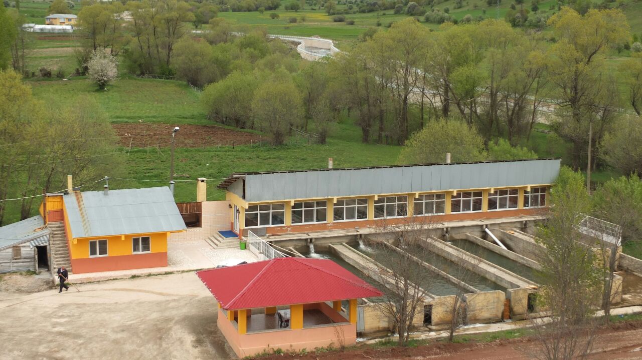 Alucra Alabalık Tesisleri — photo 7