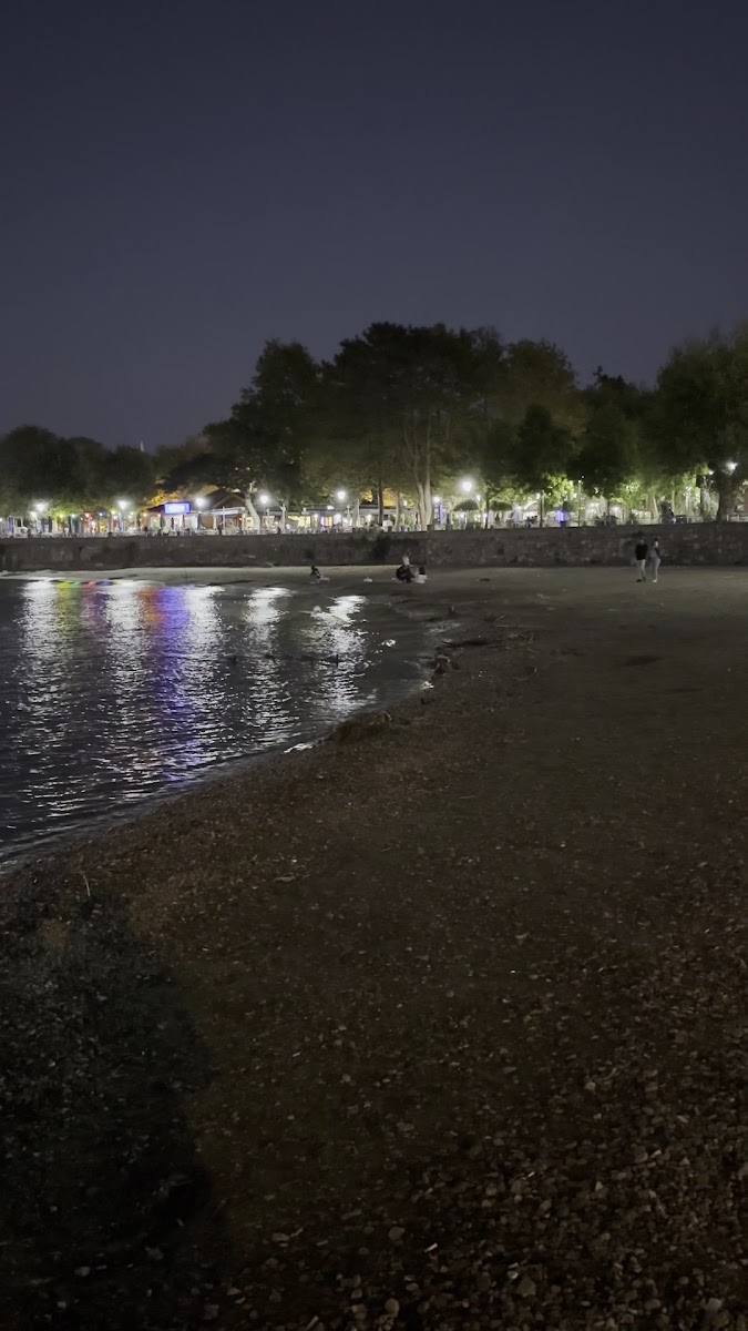 Amasra Beach — fotoğraf 3