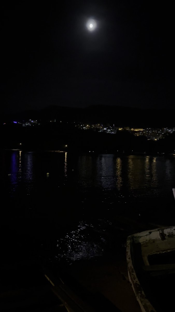 AMASRA ÖZYURT HOTEL — fotoğraf 3