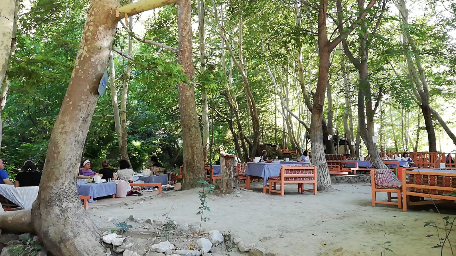 Amcabey Alabalık — fotoğraf 6