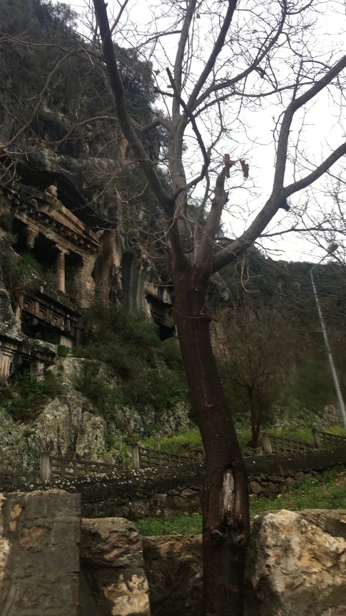 Antik Mezar — fotoğraf 4