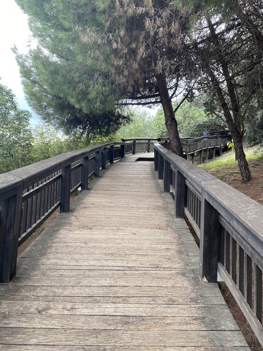 Samsun: Amisos Tepesi ve doğa