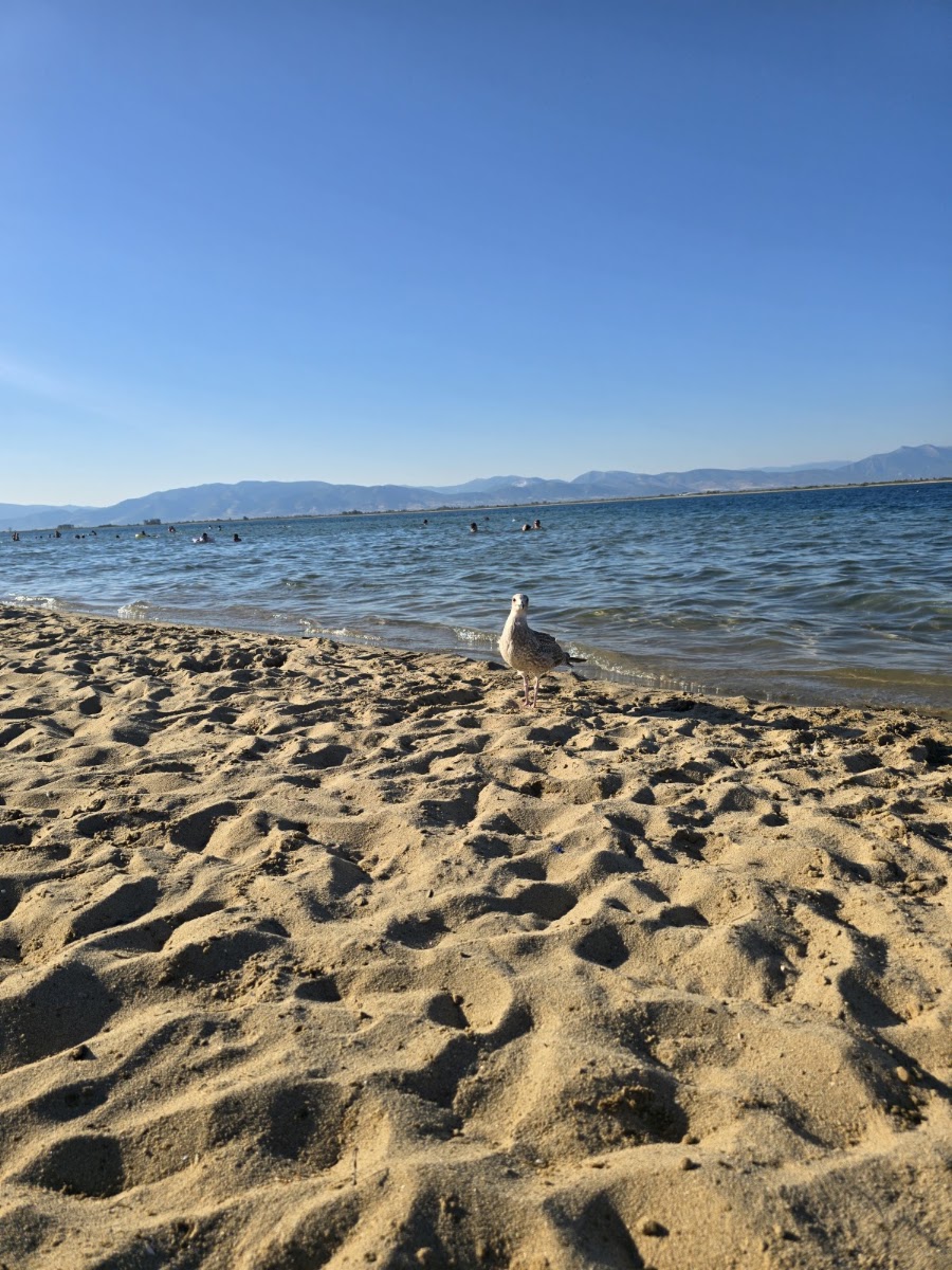 Ammoglossa beach — photo 2