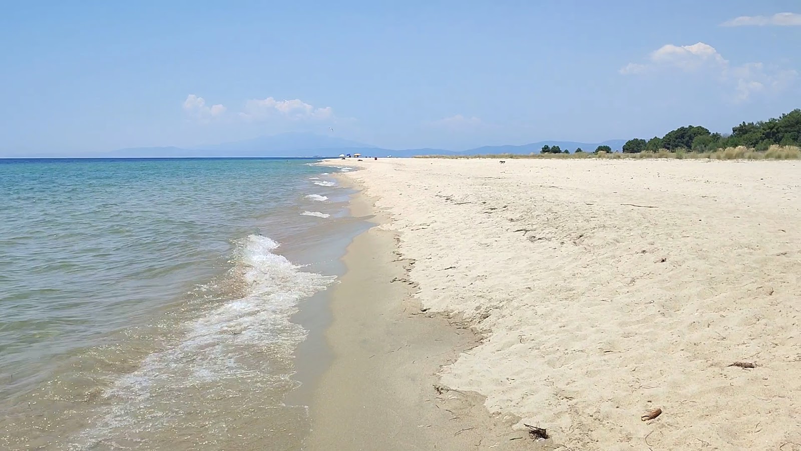 Ammoglossa beach — photo 3