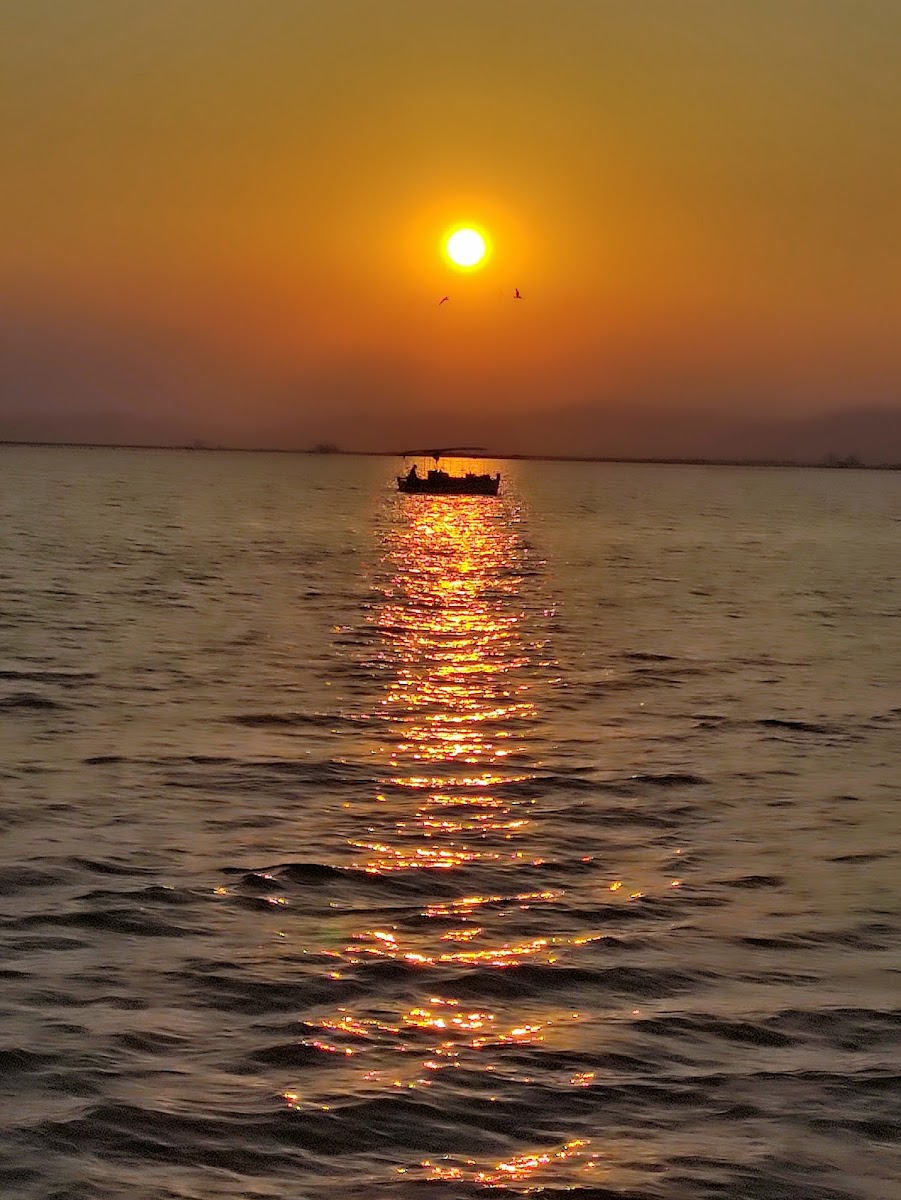 Ammoglossa beach — photo 4
