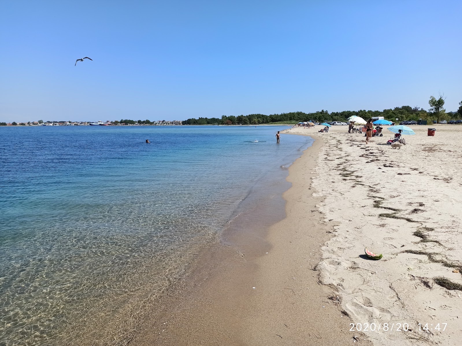 Ammoglossa beach — photo 5