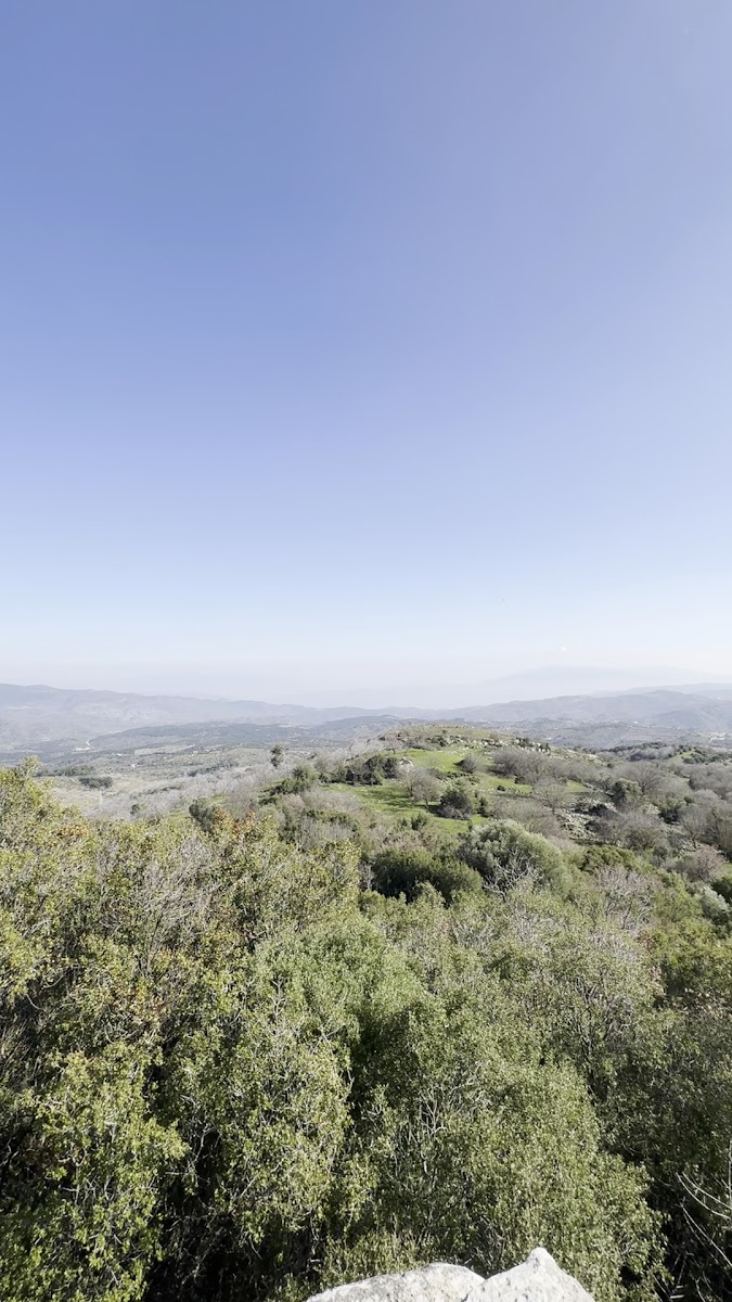 Amyzon Harabeleri — photo 3