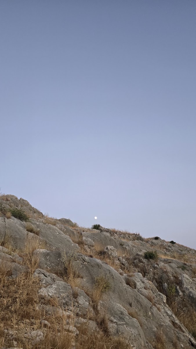 Anavarza Ören Yeri — photo 3