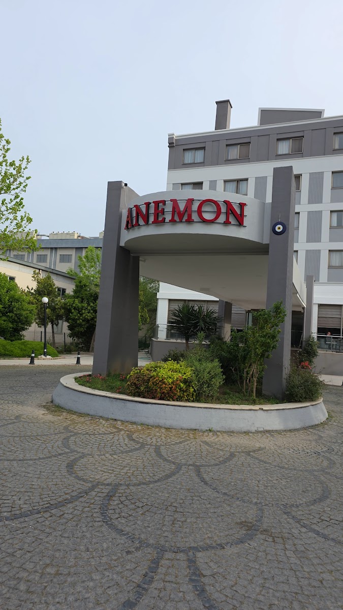 Anemon Ege Otel — photo 4